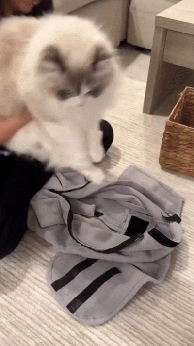 Cat Grooming Cloth